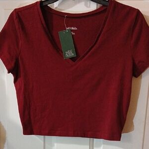 Wild Fable Deep Red V-Neck Tee